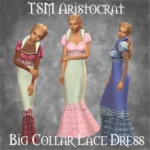 TSM Aristocrat Dress Big Collar Lace