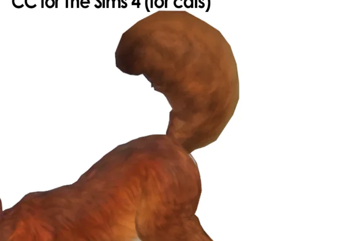 Big Tail