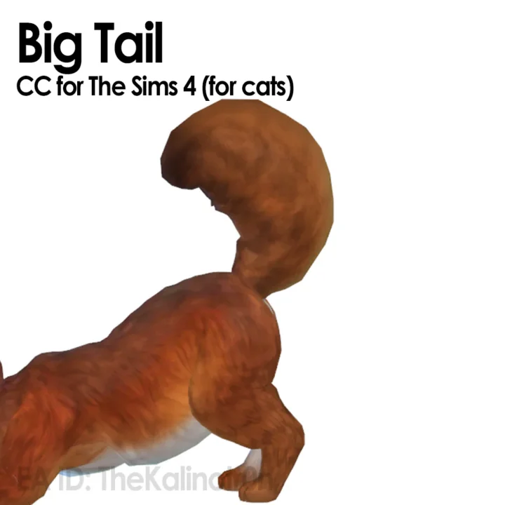 Big Tail