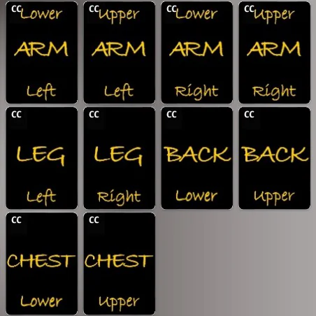 CAS Organizer Black Yellow