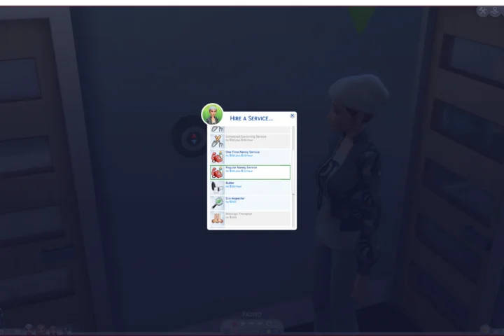 Better Nanny (Second Nanny & more)