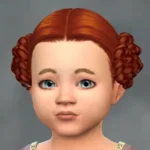 S2 Braided Buns Hair