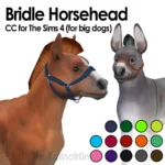 Bridle