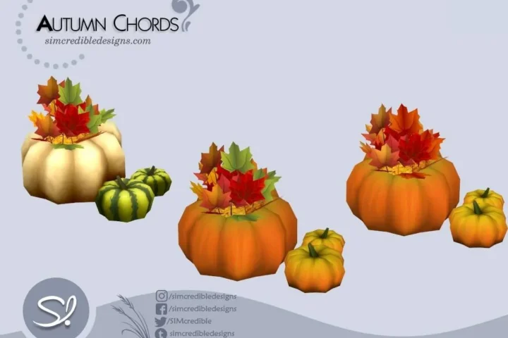 Autumn Chords - Pumpkins 🍁🎃🍂