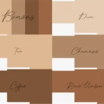 Coolors Custom Palette Wallpapers – Browns