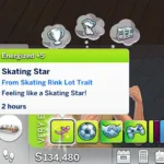 Skating Rink Trait for Bar Lots