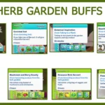 Functional Herb Garden