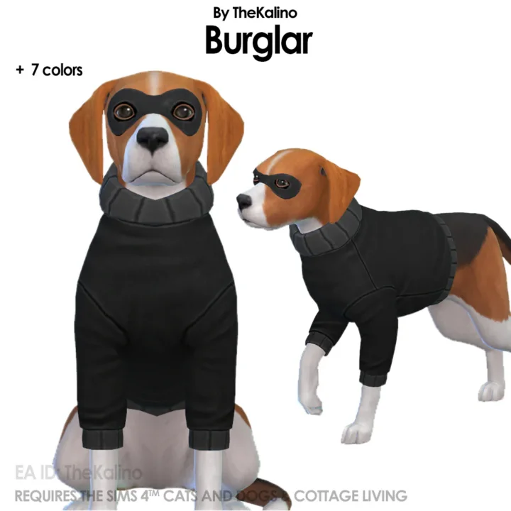Burglar Costume