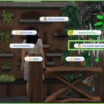Functional Herb Garden