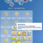 Birdwatcher Aspiration & Trait