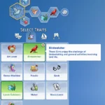 Birdwatcher Aspiration & Trait