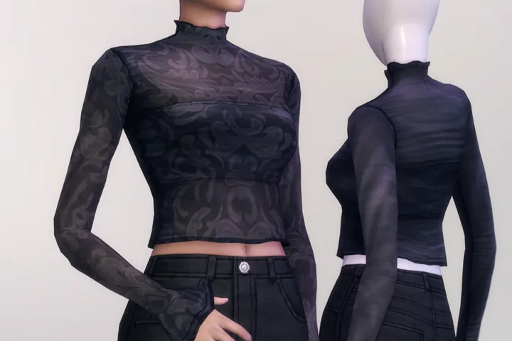 Pattern Tweak - B Sheer Blouse Set