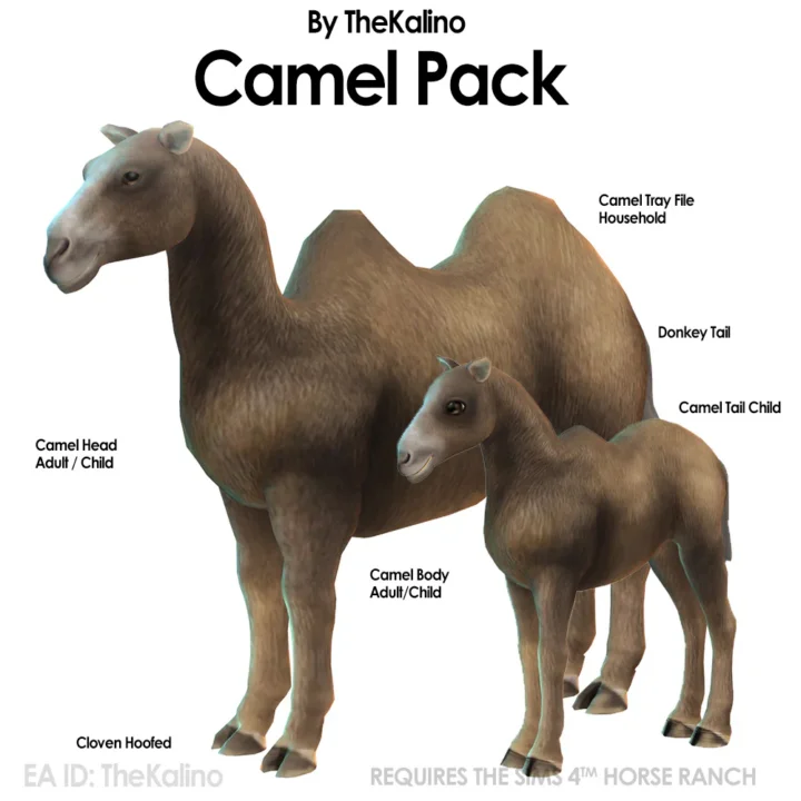 Camel CC