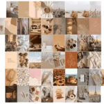 Collage Mural X50
