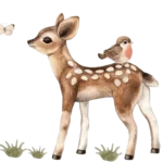 Kids Decors