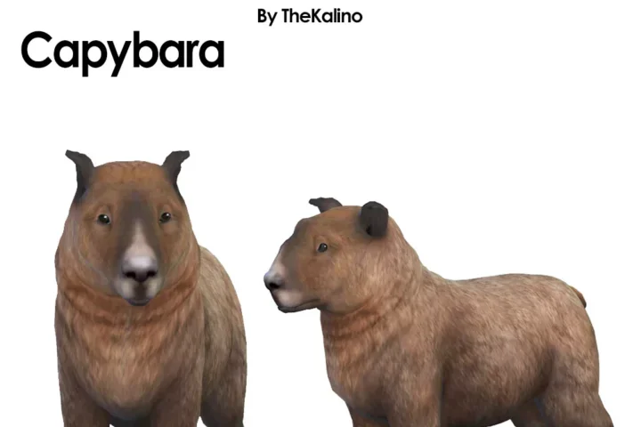 Capybara Dog