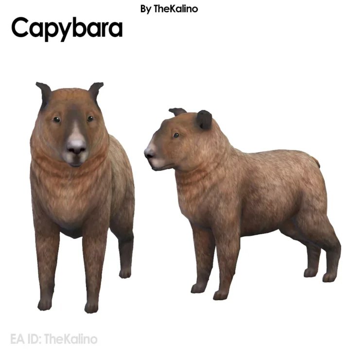 Capybara Dog
