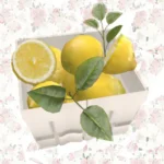 Strawberry lemonade stand