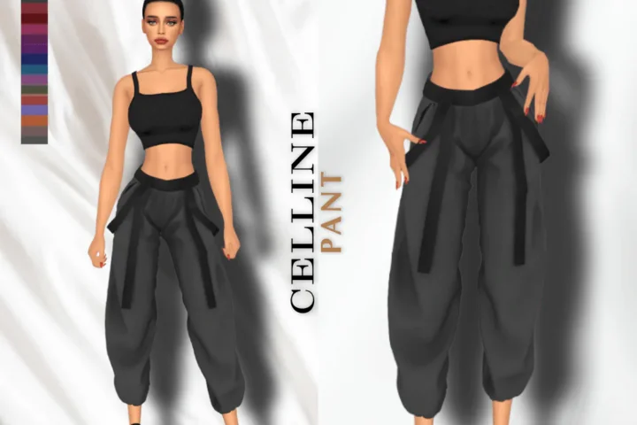 CELLINE PANT