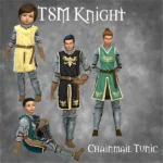TSM Knight Tunic Chainmail