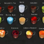 Functional Electric Kettle and 24 drinks