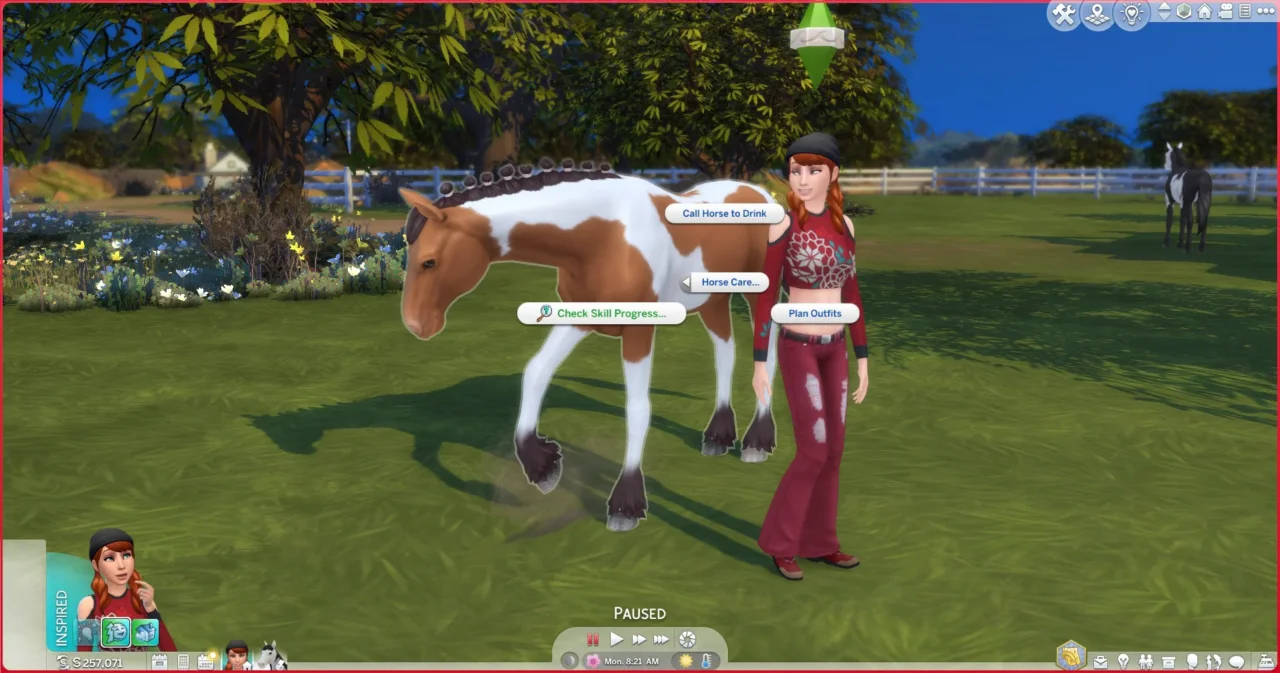 RSM (Horse Ranch) - Check Skills of NPC Horses