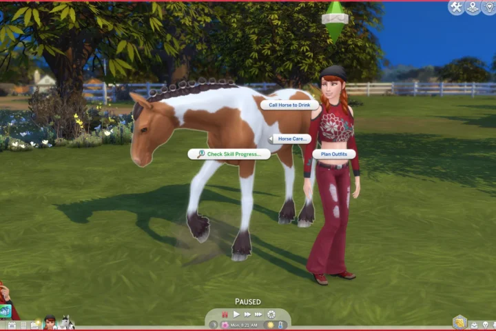 RSM (Horse Ranch) - Check Skills of NPC Horses