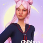Chibiusa hair