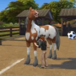 RSM (Horse Ranch) - Children can Brush Coat