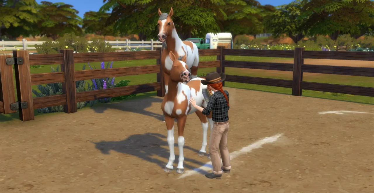 RSM (Horse Ranch) - Children can Brush Coat
