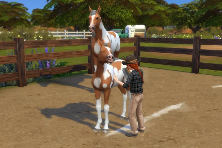 RSM (Horse Ranch) - Children can Brush Coat