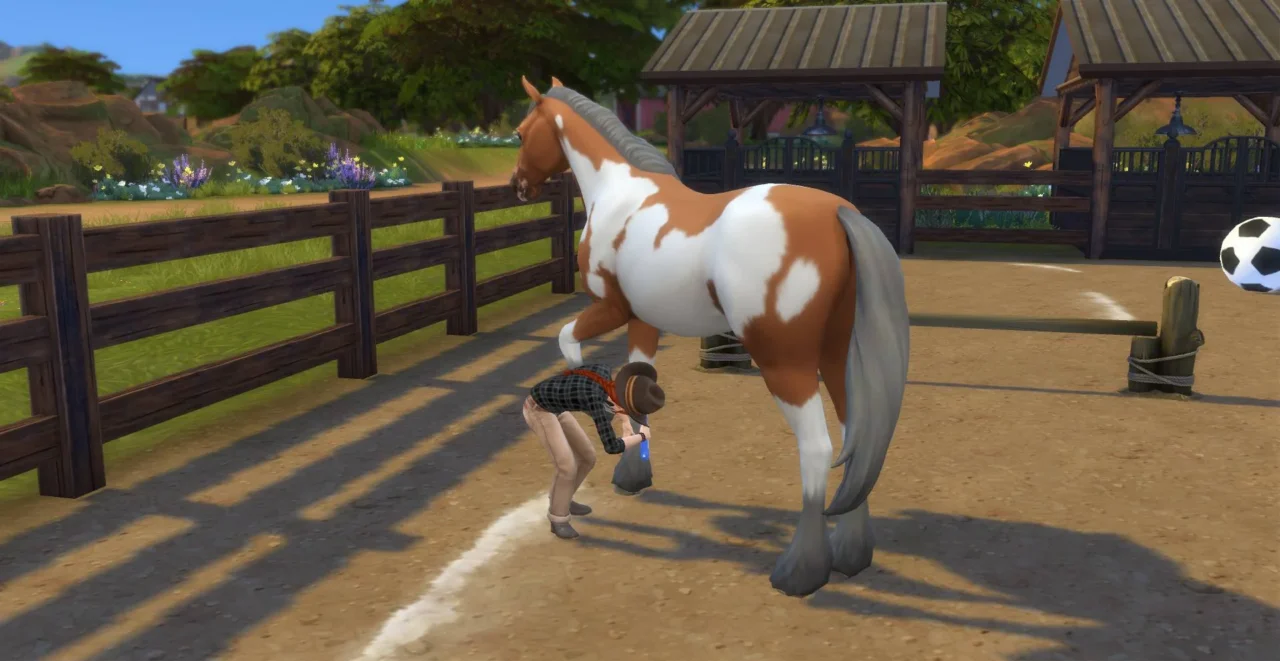 RSM (Horse Ranch) - Children can Clean Hooves