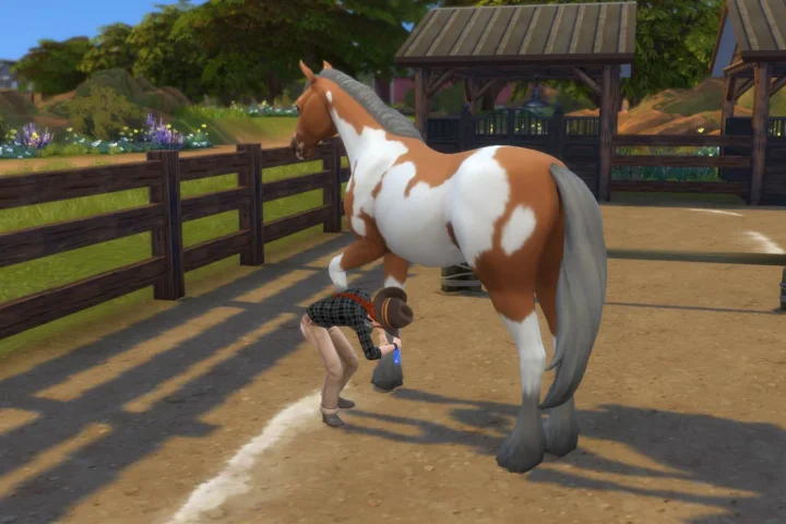 RSM (Horse Ranch) - Children can Clean Hooves
