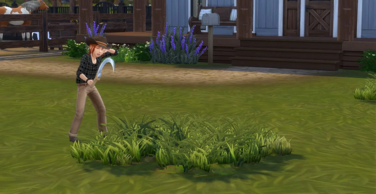 RSM (Horse Ranch) - Children can Harvest Wild Grass