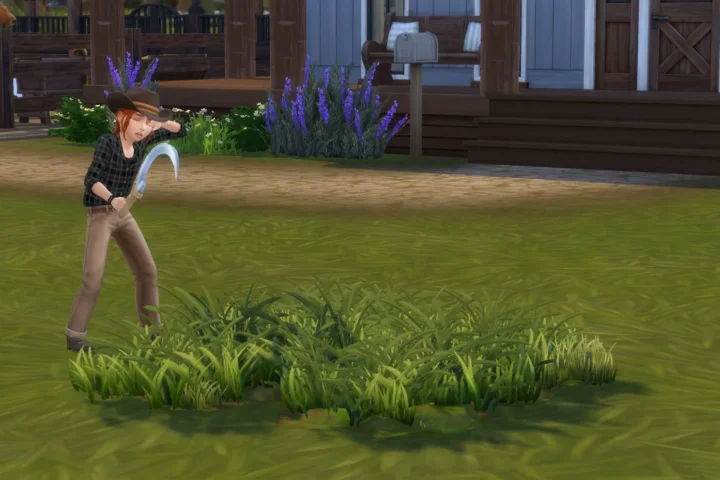 RSM (Horse Ranch) - Children can Harvest Wild Grass