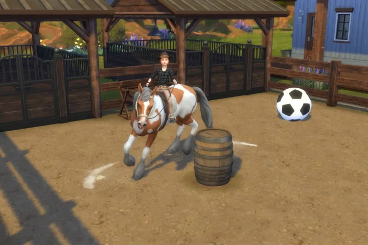RSM (Horse Ranch) - Children can Practise Barrels