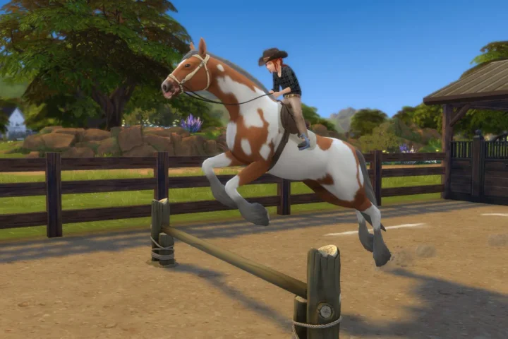 RSM (Horse Ranch) - Children can Practise Horse Jumps