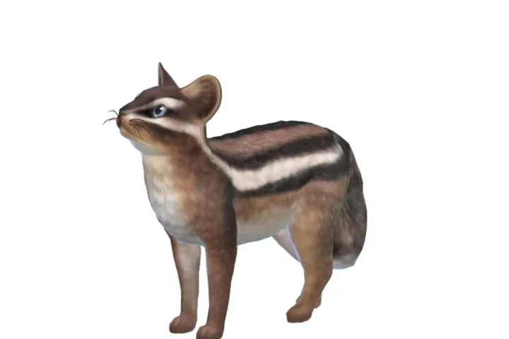 Chipmunk