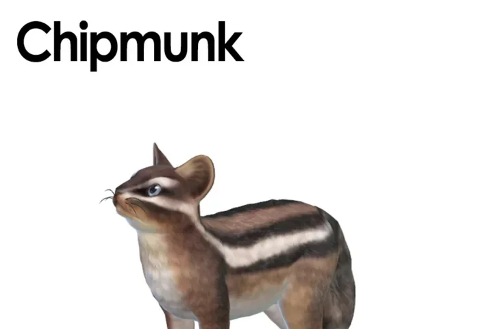 Chipmunk