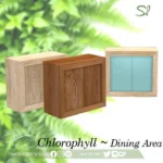 Chlorophyll Dining Area