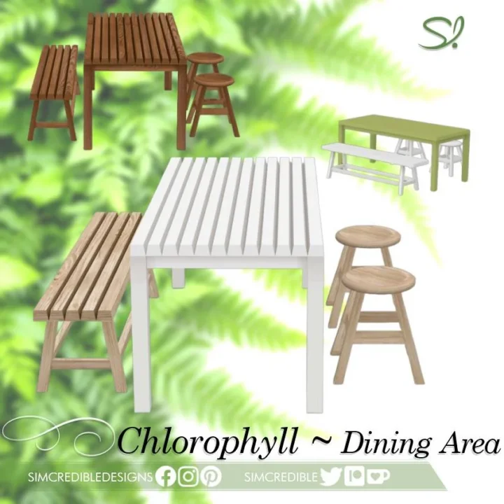 Chlorophyll Dining Area