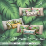 Chlorophyll Patio area