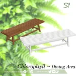 Chlorophyll Dining Area