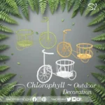 Chlorophyll Outdoor decoration