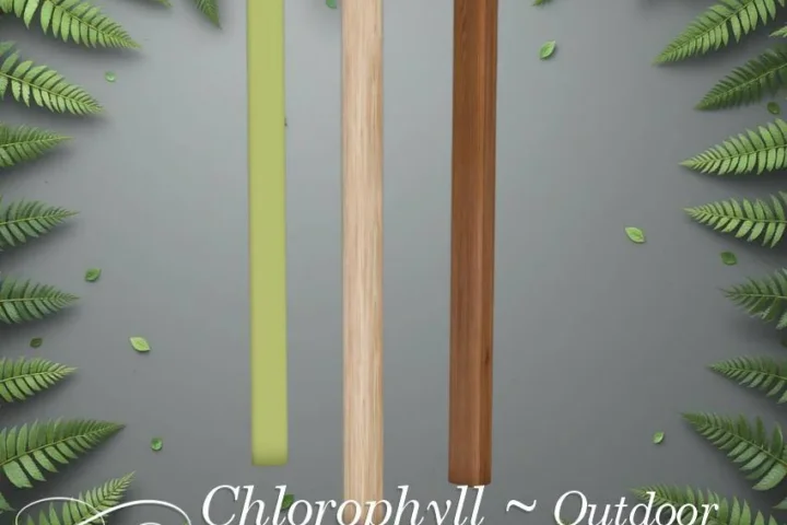 Chlorophyll Outdoor decoration