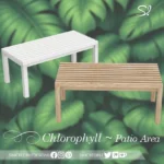 Chlorophyll Patio area