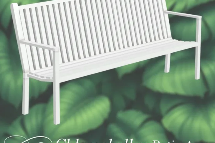 Chlorophyll Patio area