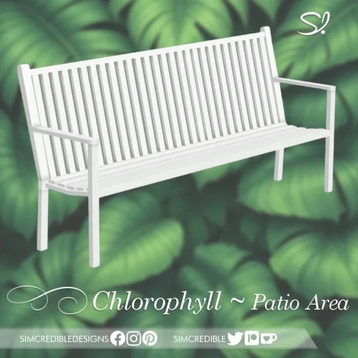 Chlorophyll Patio area