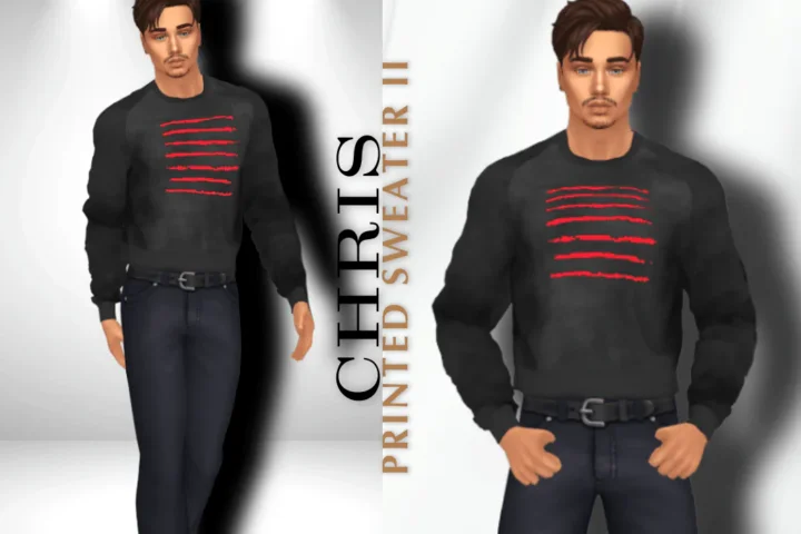 CHRIS PRINTED SWEATER 2