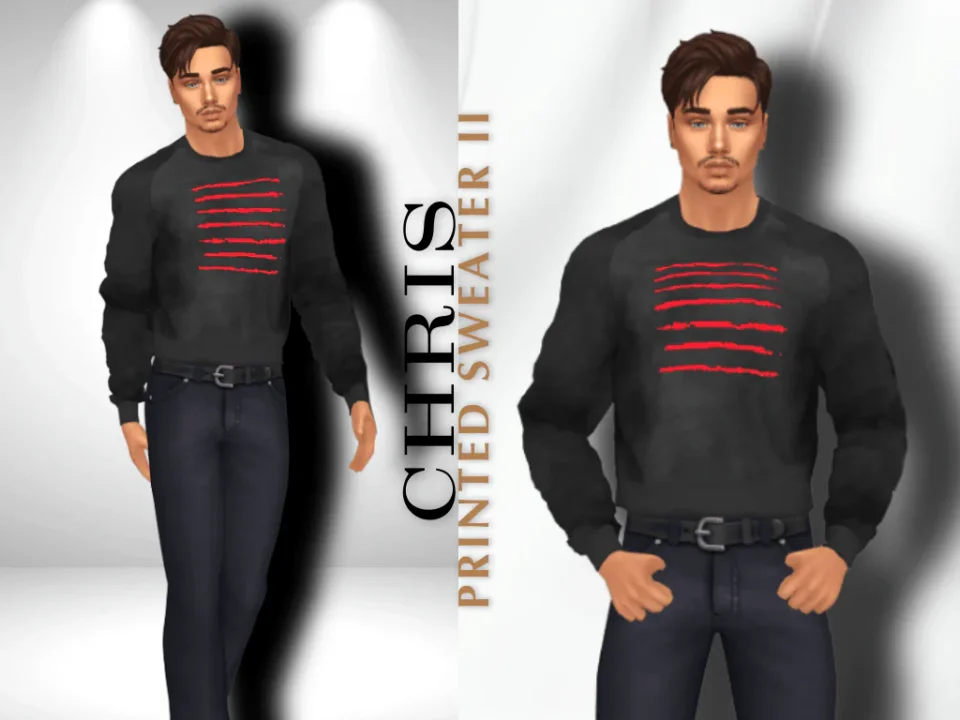 CHRIS PRINTED SWEATER 2